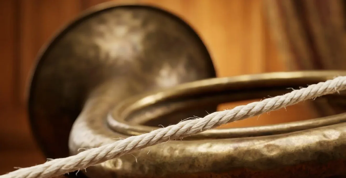 Macro detail of Baroque gut strings and valveless natural horn showing textural complexity